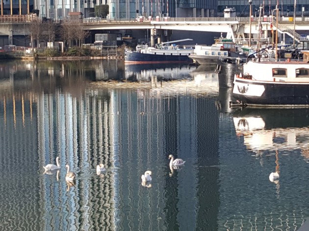 Lancaster Drive, Isle of Dogs, E14 - Photo 6